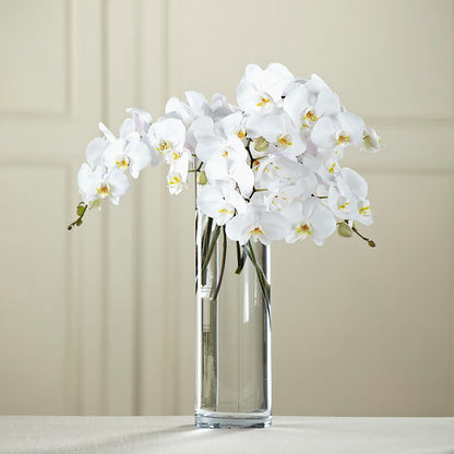 White Phalaenopsis Bouquet –  United Family Flower And Gifts, Brooklyn NY