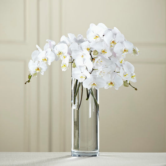 White Phalaenopsis Bouquet –  United Family Flower And Gifts, Brooklyn NY