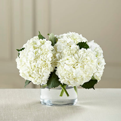 White Hydrangea Bouquet –  United Family Flower And Gifts, Brooklyn NY