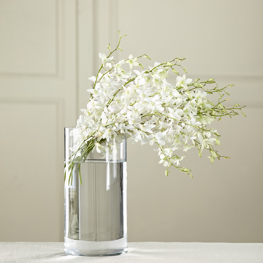 White Dendrobium Bouquet –  United Family Flower And Gifts, Brooklyn NY