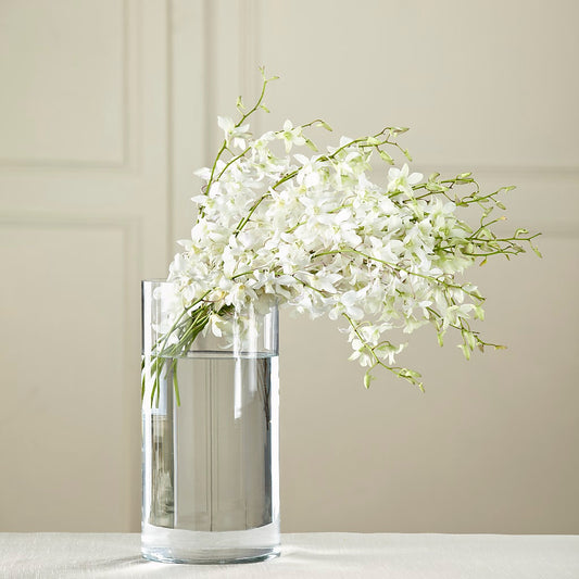 White Dendrobium Bouquet –  United Family Flower And Gifts, Brooklyn NY